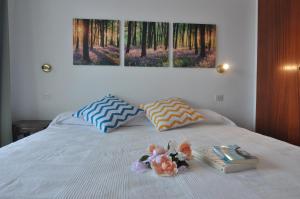 RNET - Sandra II D6 - Roses Santa Margarita