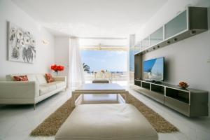 Seagulls melody C-209