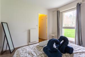 Appartements LE FOUGERES : photos des chambres