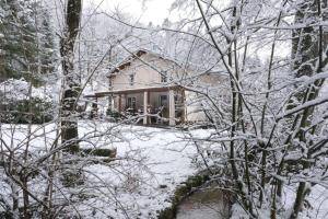 Maisons de vacances Gite du ruisseau : Maison 6 Chambres