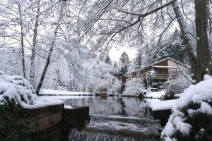 Maisons de vacances Gite du ruisseau : photos des chambres