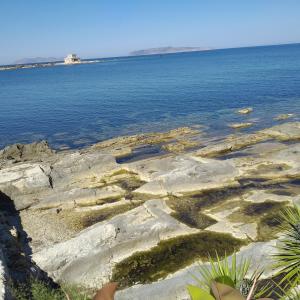 Rosadamare appartamento