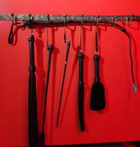 "DREAM ROOM" Тематические апартаменты Харьков! Цоколь!