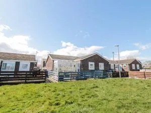 The Snug - 查希尔