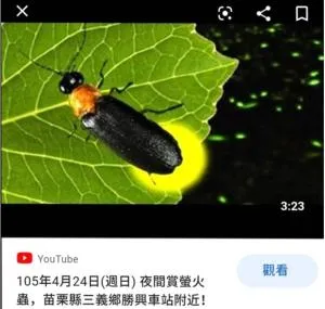 苗栗三义杉桐雅筑民宿  - Shih-liu-fen 苗栗三义杉桐雅筑民宿  - Shih-liu-fen