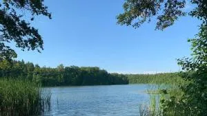 Pension & Gasthaus Kattenstieg - Netzeband