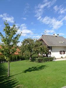 Ferienwohnung Kusternik