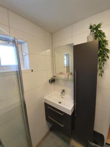 Sea Star Egmond aan Zee