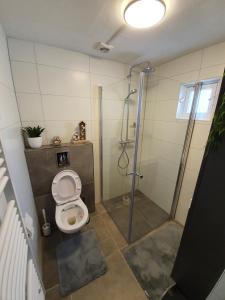 Sea Star Egmond aan Zee