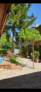 Maisons d'hotes Matin de Saone : Suite avec Terrasse  - Non remboursable