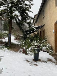 Maisons d'hotes Matin de Saone : photos des chambres