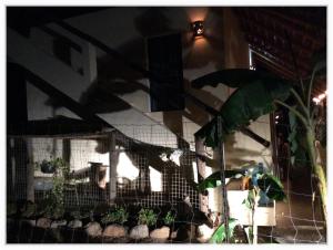 Camp - Santos Cabanas