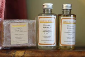 Cancun Guest House 1