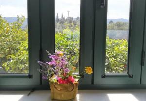 A beautiful and cozy summer house in Galatas Poros-Island Greece