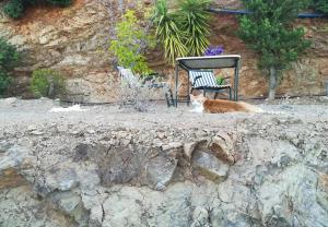 A beautiful and cozy summer house in Galatas Poros-Island Greece