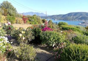 A beautiful and cozy summer house in Galatas Poros-Island Greece