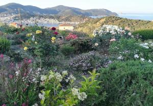 A beautiful and cozy summer house in Galatas Argolida Greece