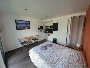 Appartements Studio a la campagne au bout du lac d'Annecy : photos des chambres