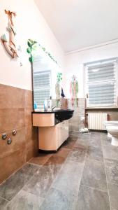 Guest Holiday Piave 1