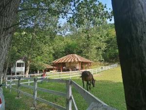 Apartman Gradac Deguric