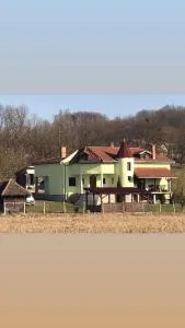 Vila Rodjak sa sela - Mionica