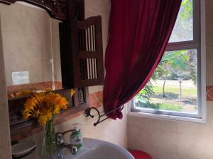 Residence Sa Pintadera img24