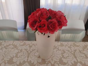 Open Space Rose img35