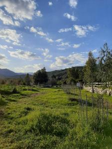 S'Imbragu Farm B&B img21