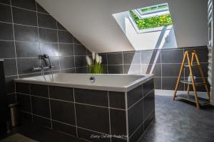 Appartements Villa les Dahlias : photos des chambres