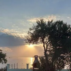 Petra's garden - Kraj