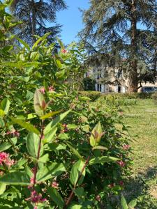 Maisons de vacances La bastide de Mary : photos des chambres