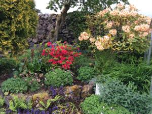 Meadowbank Guest House