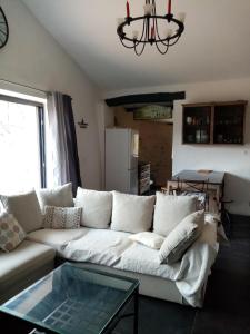 Maisons de vacances La Canopee : photos des chambres