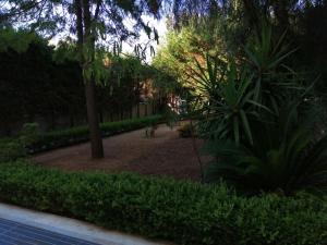 B&B SALento Garden