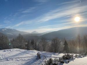 Ski IN-OUT Apartmán Donovaly