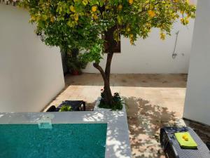 Casa el Patio del Limón, con piscina