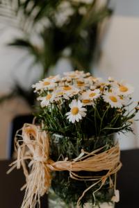 Aiora Yard Ammouliani Greece