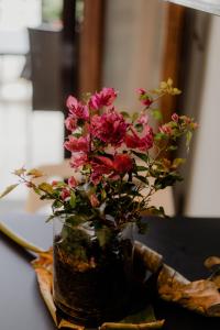 Aiora Yard Ammouliani Greece