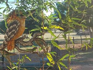 York Cottages and Burnley House