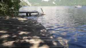 Kirchengasse 162 - Alte Post II