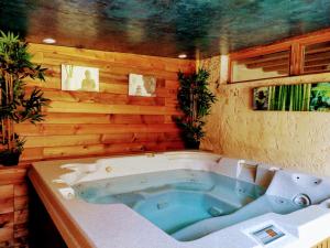 Maisons d'hotes Studio romantique jacuzzi ou spa balneo privatif et jardin Au temps des cerises La Ciotat : photos des chambres