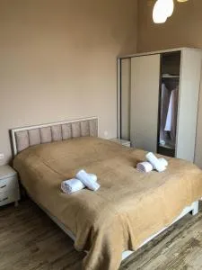 House for rest - Tsinsvla