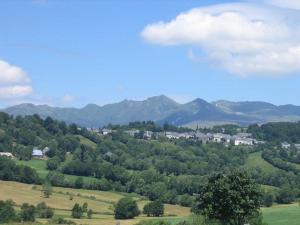 Appart'hotels Aux Balcons du Sancy : photos des chambres