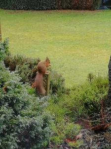 Ard Darach Cottage - very central