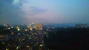 Jarrdin Cihampelas C2218