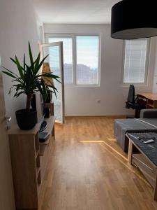 Apartman Aleksic