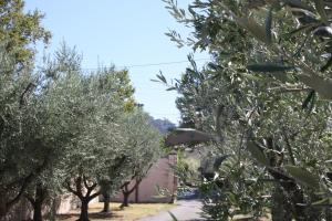 Hotels Hotel Van Gogh : photos des chambres