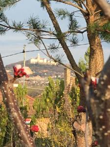 Kékház Vendégház