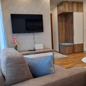 apartman i spa Luka Zlatibor