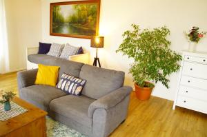 Apartmány u komína